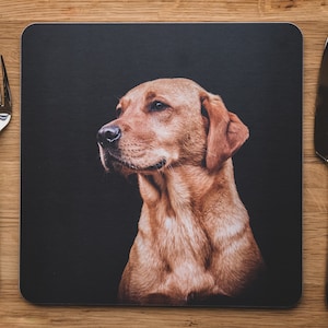 May include: A brown and white dog with a black background. The dog is looking to the left of the image. The dog is on a placemat with a fork and knife on either side.