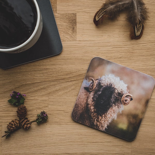 Coaster - Curls, Black Nosed Valais Sheep