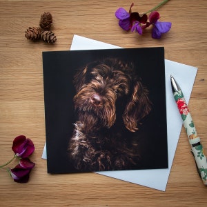 Op de afbeelding: Een close-up van een bruine en zwarte hond met een donkere achtergrond. De hond heeft een lange, harige vacht en kijkt recht in de camera.