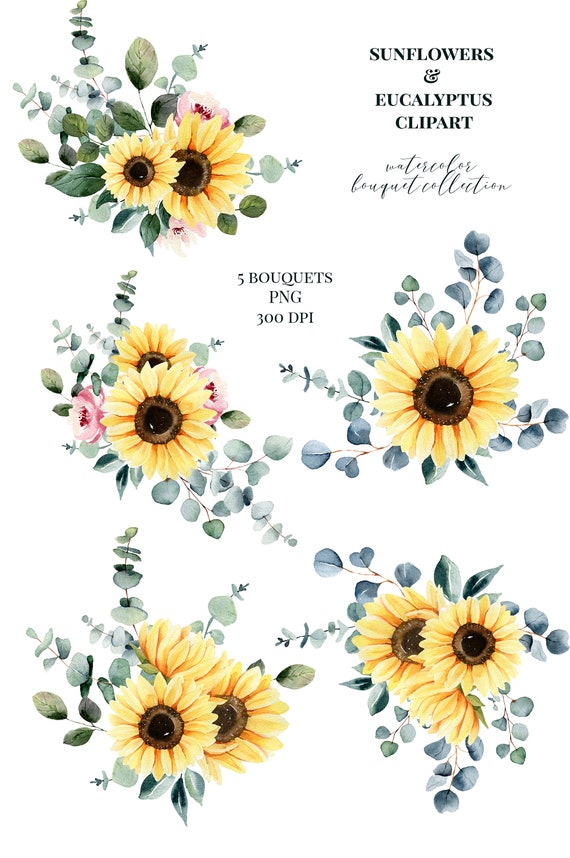 Download Eucalyptus With Sunflower Clipart Greenery Watercolor Etsy