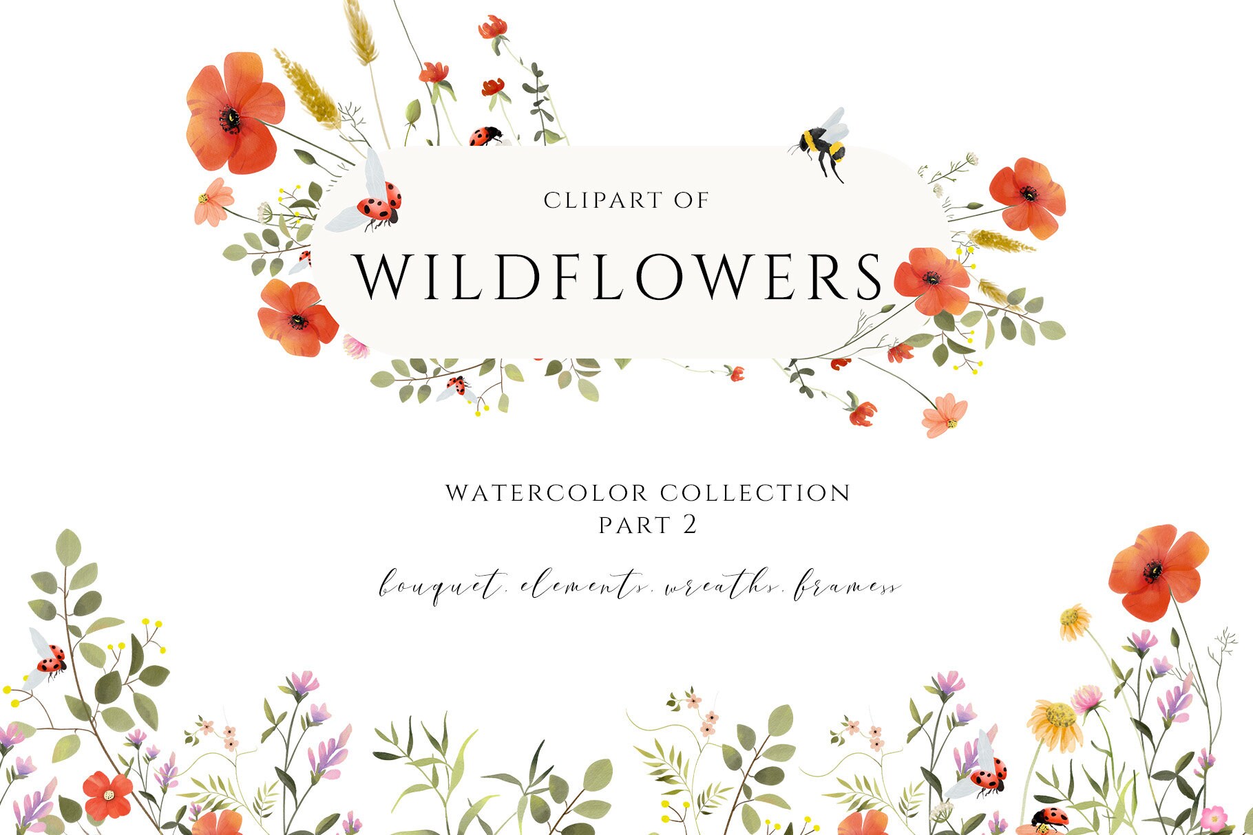 Pressed Wildflowers Wildflowers Downloadable Wild Flower Etsy