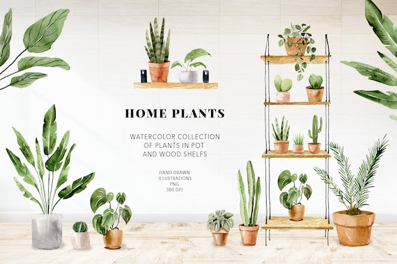 Plant painting, House plants clipart. Boho watercolor plants and cactuses