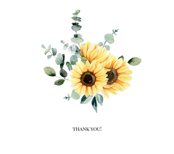 Download Eucalyptus With Sunflower Clipart Greenery Watercolor Etsy