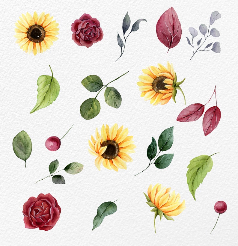 Sunflower Clipart With Red Roses Elements. Sunflower Png Etsy