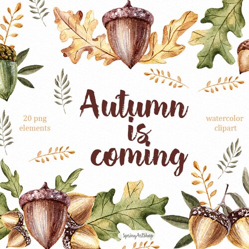 Autumn Coming Fall Clipart Acorn Clipart Watercolor Clipart Etsy India