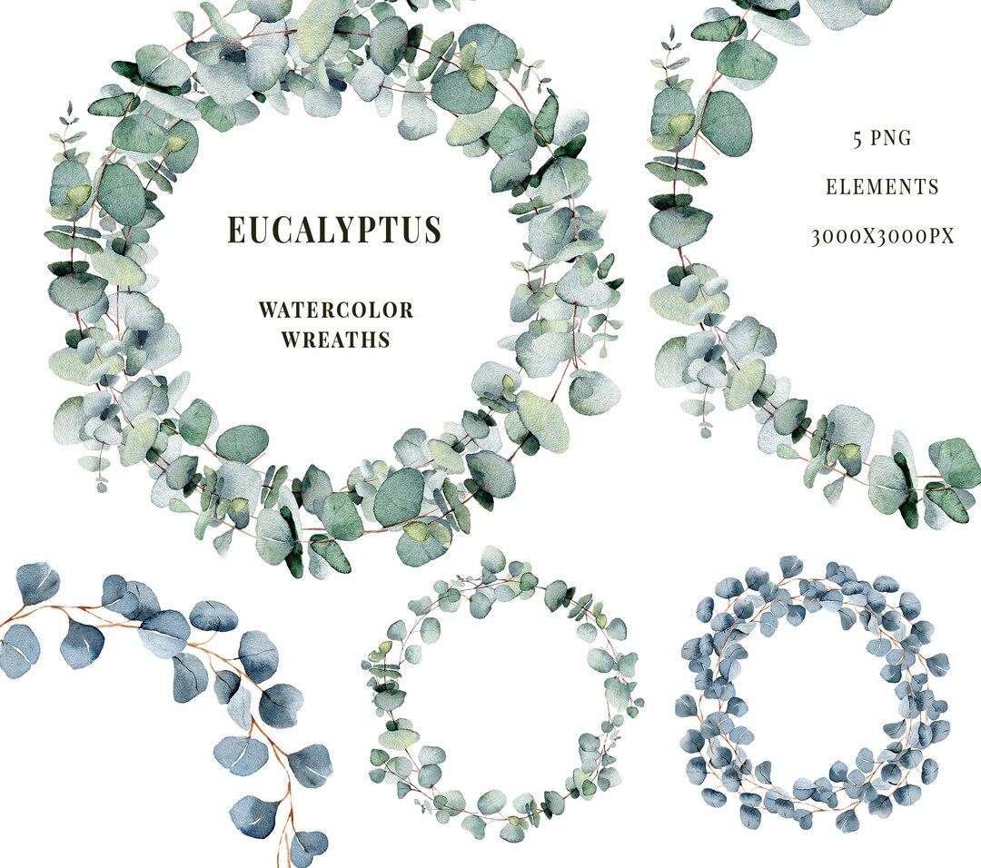 Eucalyptus Watercolor Wreath. Greenery Eucalyptus Clipart - Etsy