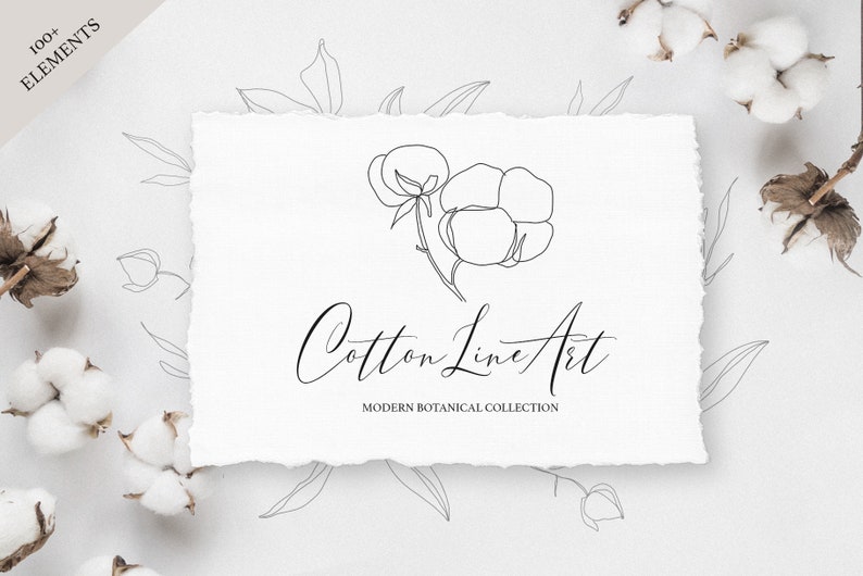 Delicate Cotton Outline Clipart. Botanical Lineart Prints - Etsy