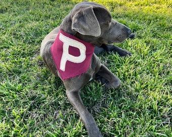 Bandana para cachorro de marca personalizada