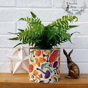 Emma Bridgewater Toadstool Mushrooms Decoupage Large Recycled Tins - Make Great Plant Pots!