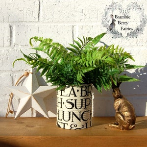 May include: A white ceramic star with a twine hanger, a green fern plant in a white tin can with black lettering that reads "Tea & Bread, Fish Supper, Lunch", and a gold rabbit figurine on a wooden surface.