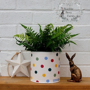May include: A white tin can planter with a polka dot pattern in red, green, blue, and yellow. The planter is filled with a green fern plant. A white star and a gold rabbit figurine are on a wooden surface in front of the planter.