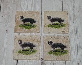 border collie coasters