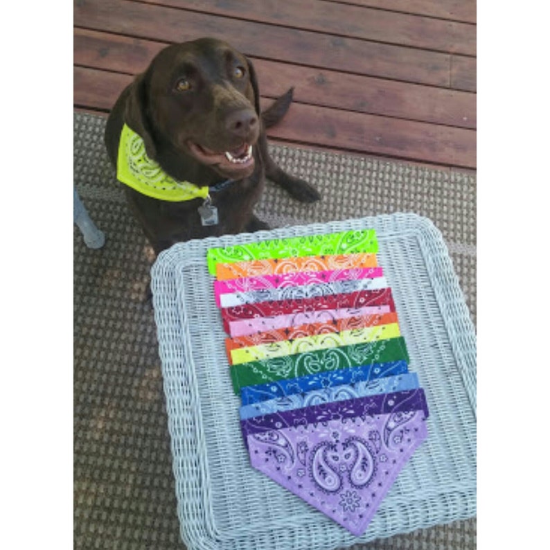 Classic Dog Bandanas Pet Bandana Dog Scarf Cat Bandana Pet Etsy
