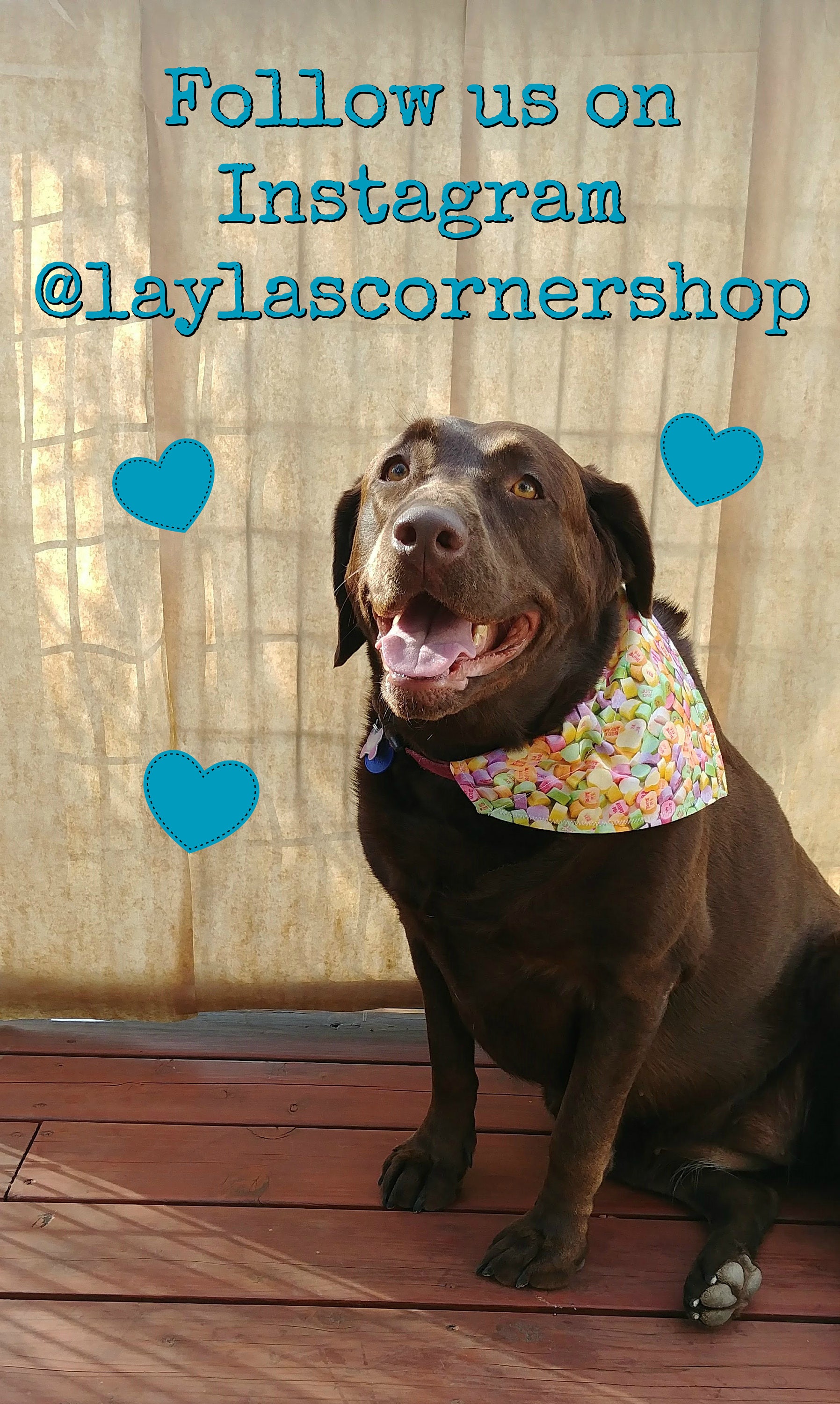 Dog Bandana Valentine's Day Candy Heart Dog Scarf Pet Etsy