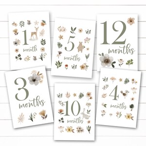 Cartes d'étapes bébé imprimables numériquement. Cartes d'étape terriennes. Cartes d'étape pour bébé fille. Cartes d'étapes forestières. Cartes d'étape vertes.