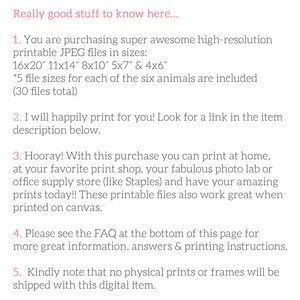 May include: Text on a white background with the heading "Really good stuff to know here..." followed by five numbered points. Point 1 describes purchasing high-resolution printable JPEG files in six sizes: 16x20", 11x14", 8x10", 5x7", and 4x6". Point 2 states that the seller will happily print the files for the buyer. Point 3 explains that the buyer can print the files at home, at a print shop, or at a photo lab. Point 4 directs the buyer to the FAQ section for more information. Point 5 states that no physical prints or frames will be shipped with the digital item.