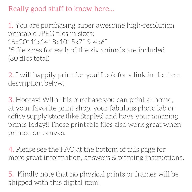 May include: Text on a white background with the heading "Really good stuff to know here..." followed by five numbered points. Point 1 describes purchasing high-resolution printable JPEG files in six sizes: 16x20", 11x14", 8x10", 5x7", and 4x6". Point 2 states that the seller will happily print the files for the buyer. Point 3 explains that the buyer can print the files at home, at a print shop, or at a photo lab. Point 4 directs the buyer to the FAQ section for more information. Point 5 states that no physical prints or frames will be shipped with the digital item.