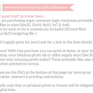 May include: Text on a white background with the title "Really good stuff to know here..." followed by five numbered points. Point 1 describes the purchase of high-resolution printable JPEG files in various sizes. Point 2 states that the seller will happily print the files for the buyer. Point 3 explains that the buyer can print the files at home or at a print shop. Point 4 directs the buyer to the FAQ section for more information. Point 5 states that no physical prints or frames will be shipped with the digital item.