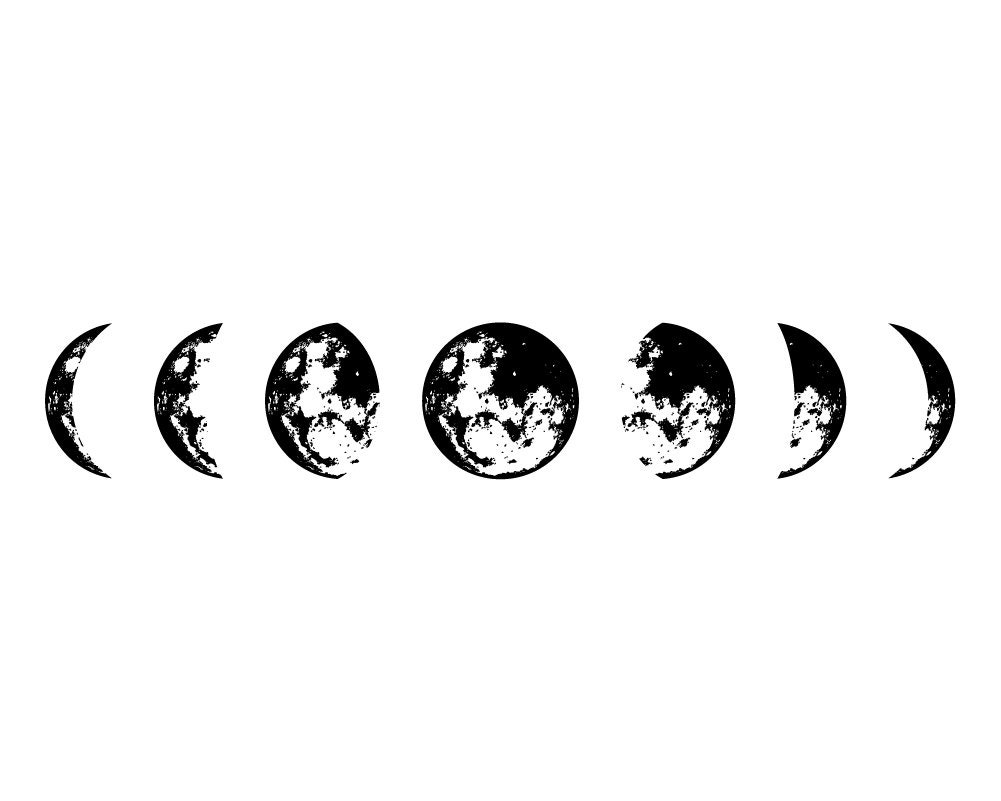 STL file Moon Phases with Lotus Flower SVG / STL / eps/ dxf / Wall