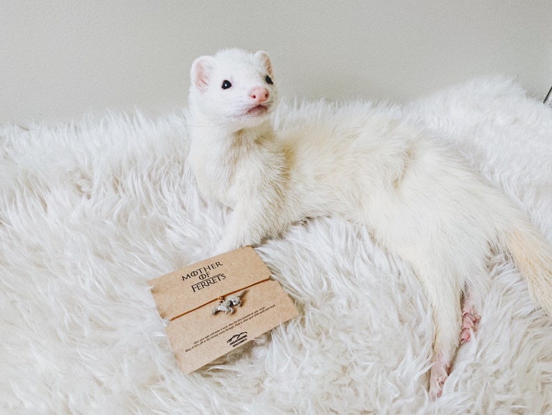 Ferret Mother of Ferret Ferret Jewelry Ferret Bracelet Etsy