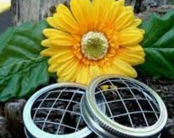 Flower "Frog" Lids, Set of 2 - Flower Arrangement Lids for Mason Jars, Wide Mouth, Flower Spacer & Band, Wedding Centerpiece Floral Arranger