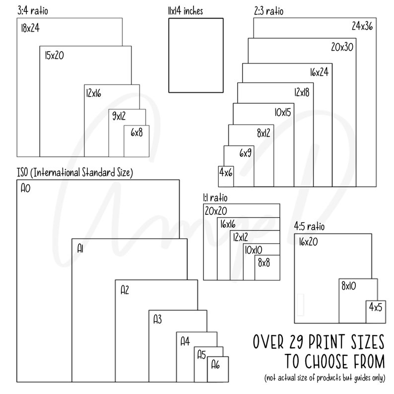 May include: A chart showing over 29 different print sizes, with the dimensions listed in inches. The chart is organized by aspect ratio, with the most common ratios listed at the top. The chart includes both standard and non-standard sizes.