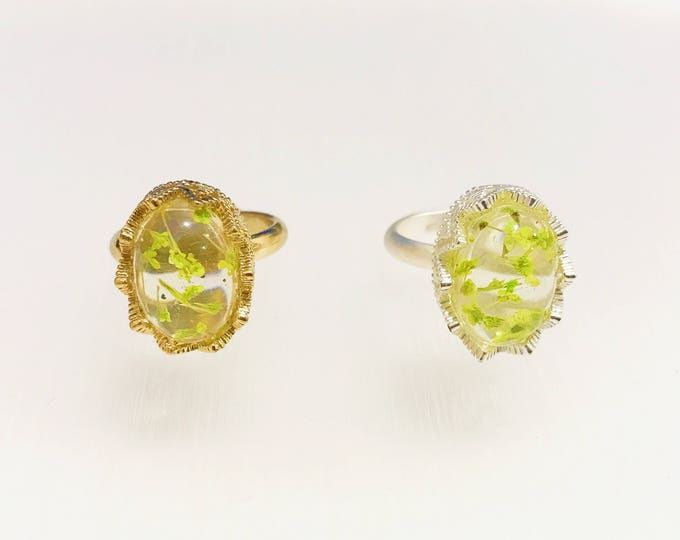 Resin Ring, Daisy Cherry Blossoms Silver Gold Plated Lace oval Flower green caldesia Rainbow Glow Reflection