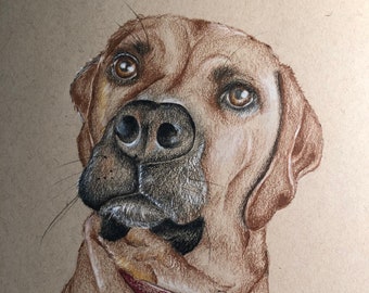 Retrato de mascota personalizado de 5" x 7" - Dibujo