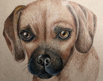 Retrato de mascota personalizado de 8" x 10" - Dibujo