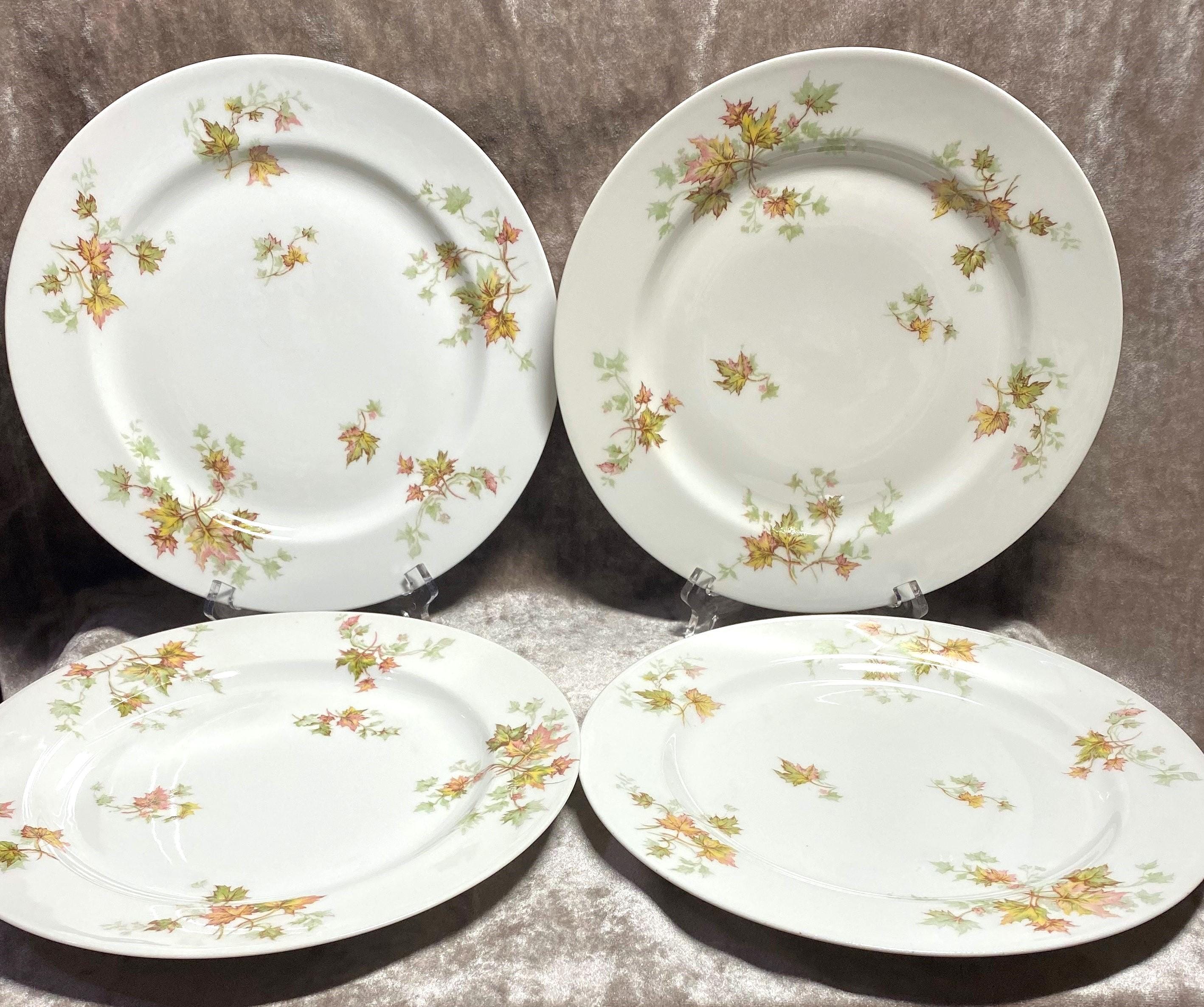 Limoges HAVILAND　(仏)ハンドペイントプレート　2枚 Limoges HAVILAND(仏)ハンドペイントプレート2枚