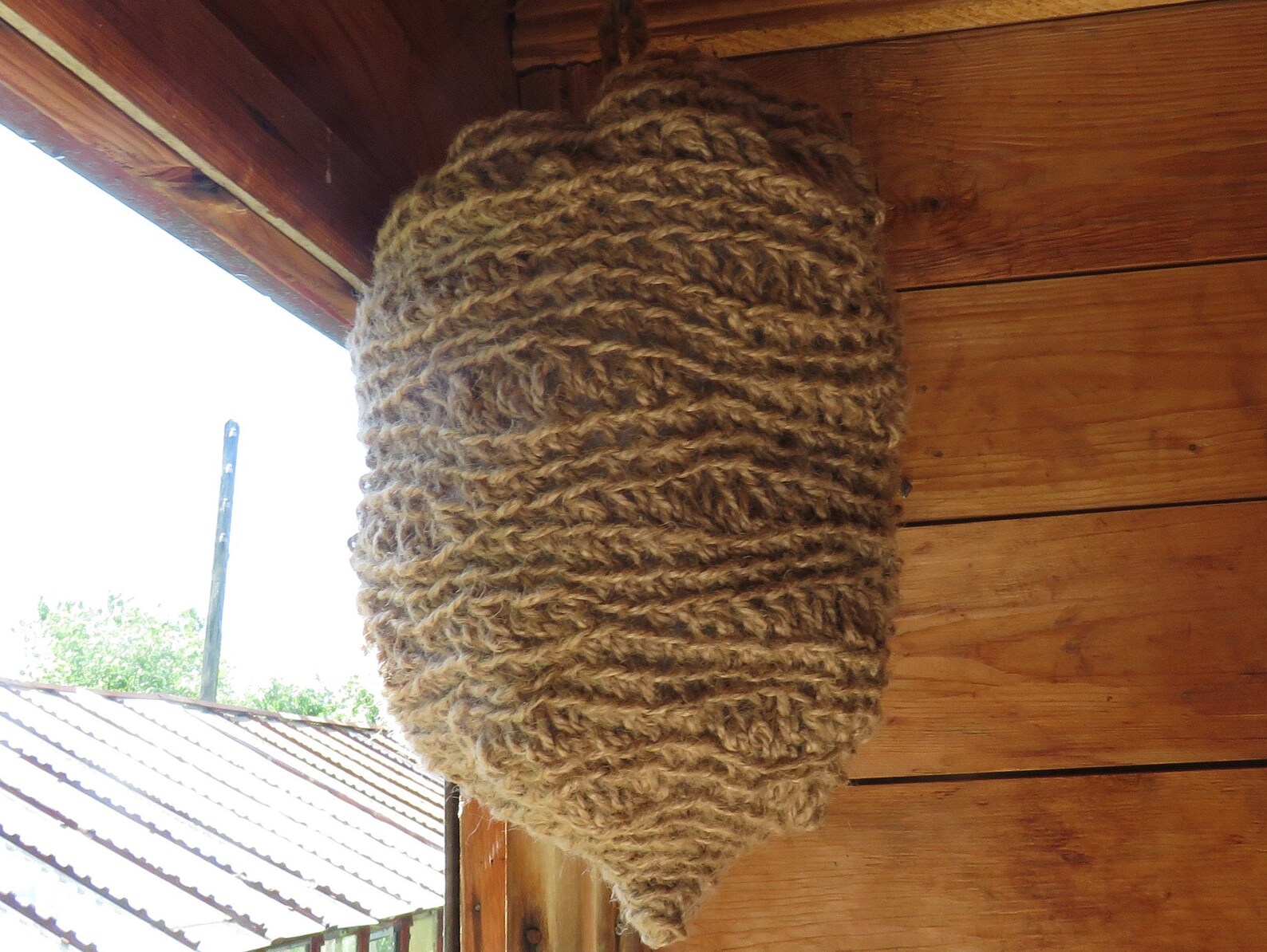 Decoy wasp nest. Garden defender from and wasps Etsy
