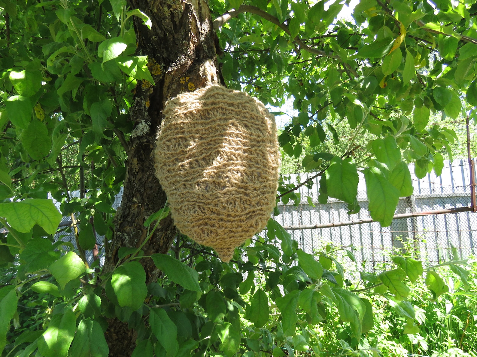 Decoy wasp nest. Garden defender from and wasps Etsy