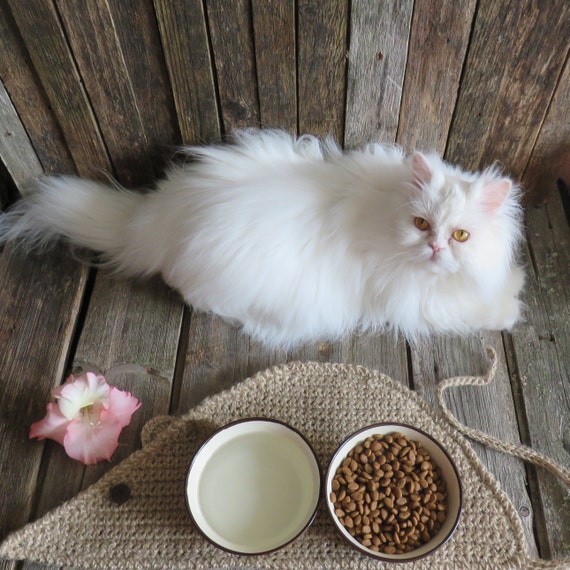 cat food mat