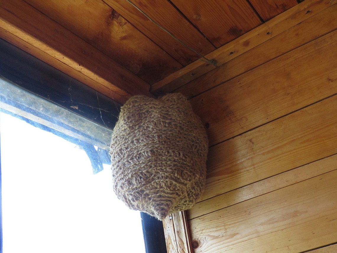 Decoy wasp nest. Garden defender from and wasps Etsy