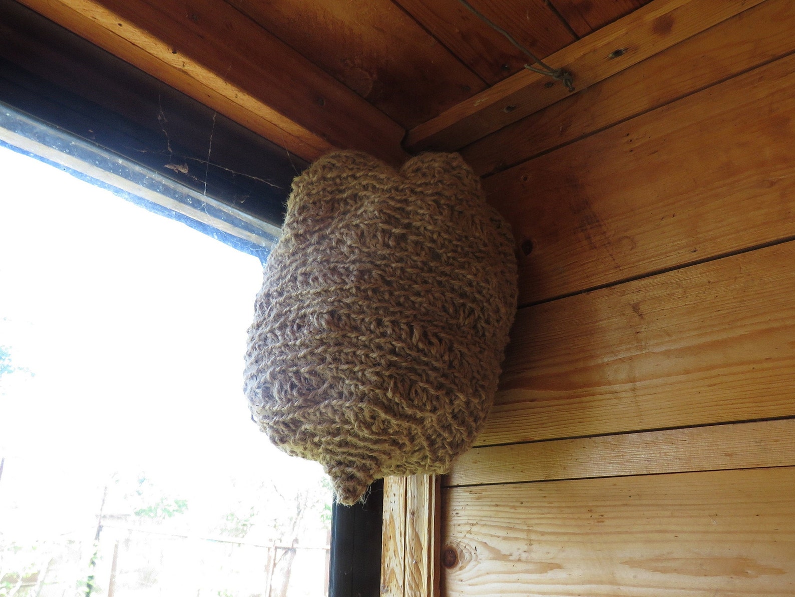 Decoy wasp nest. Garden defender from and wasps Etsy
