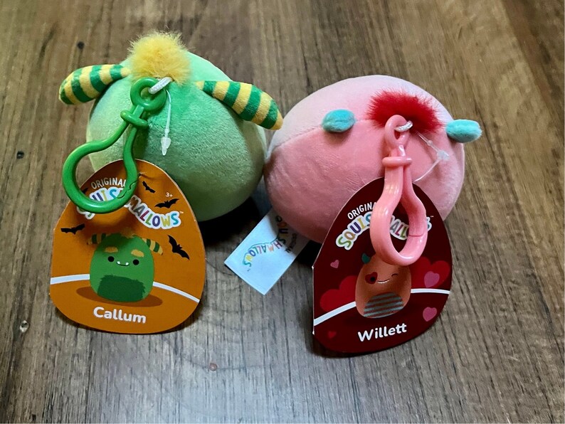 Squishmallow Bag Backpack Keychain Clip on Willett Valentine New Nwt