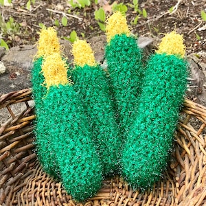 Loofah des Legumes - Zucchini