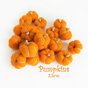 Può includere: Un mucchio di 16 piccole zucche di feltro arancione con cuciture bianche, ciascuna con un diametro di 2,5 cm. Le zucche sono disposte in un gruppo su uno sfondo bianco. Il testo "Pumpkins 2.5cm" è scritto sotto le zucche.