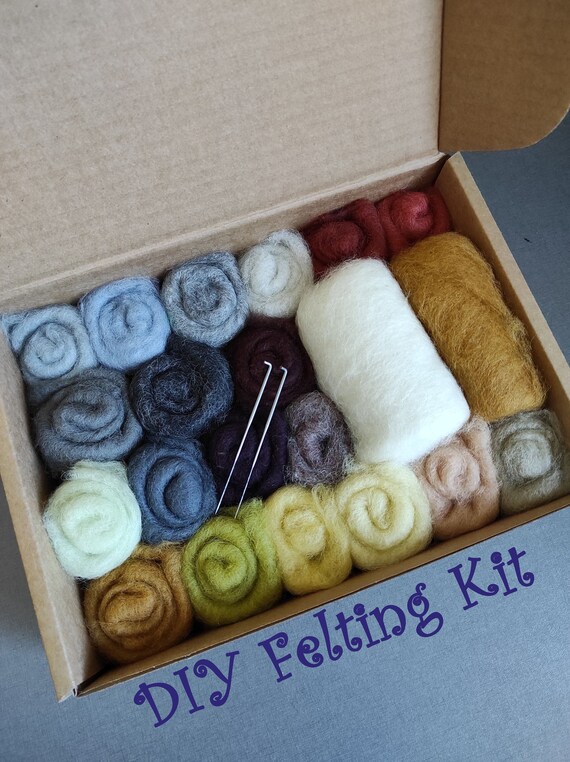 Needle Felting Starter Kit DIY Felting Kit Natural Colors Etsy
