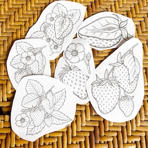 May include: Five black and white printable colouring pages featuring strawberries. Each page has a different design with strawberries, leaves and flowers.