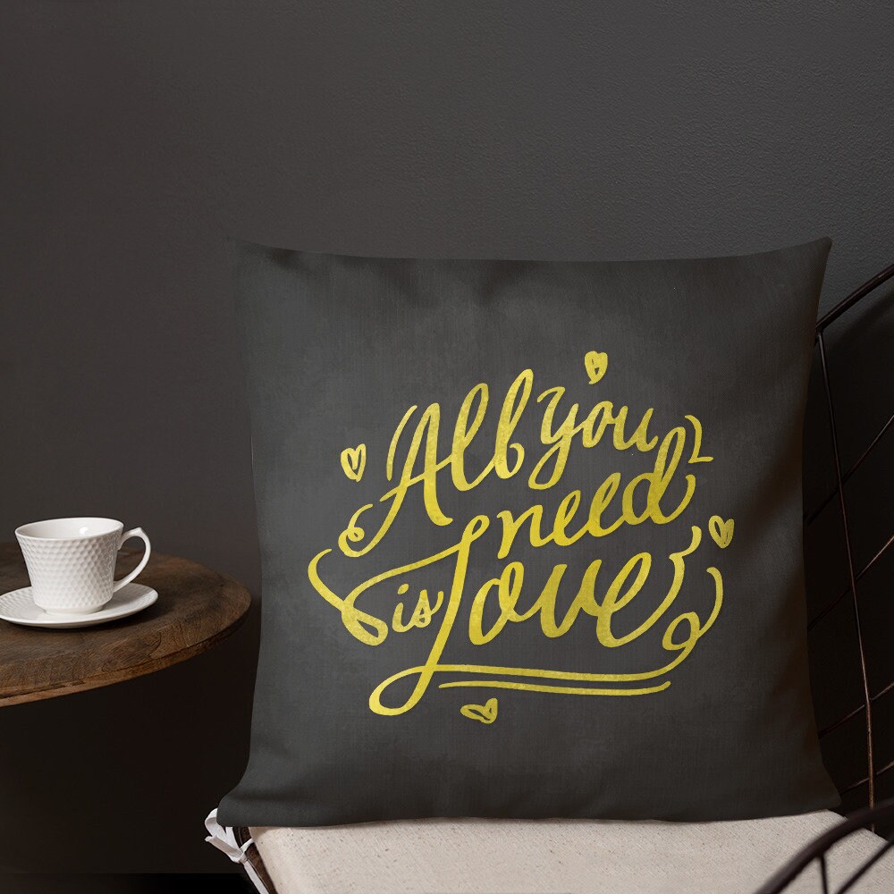 Pillows With Sayings Decorative Pillows Throw Pillow Etsy