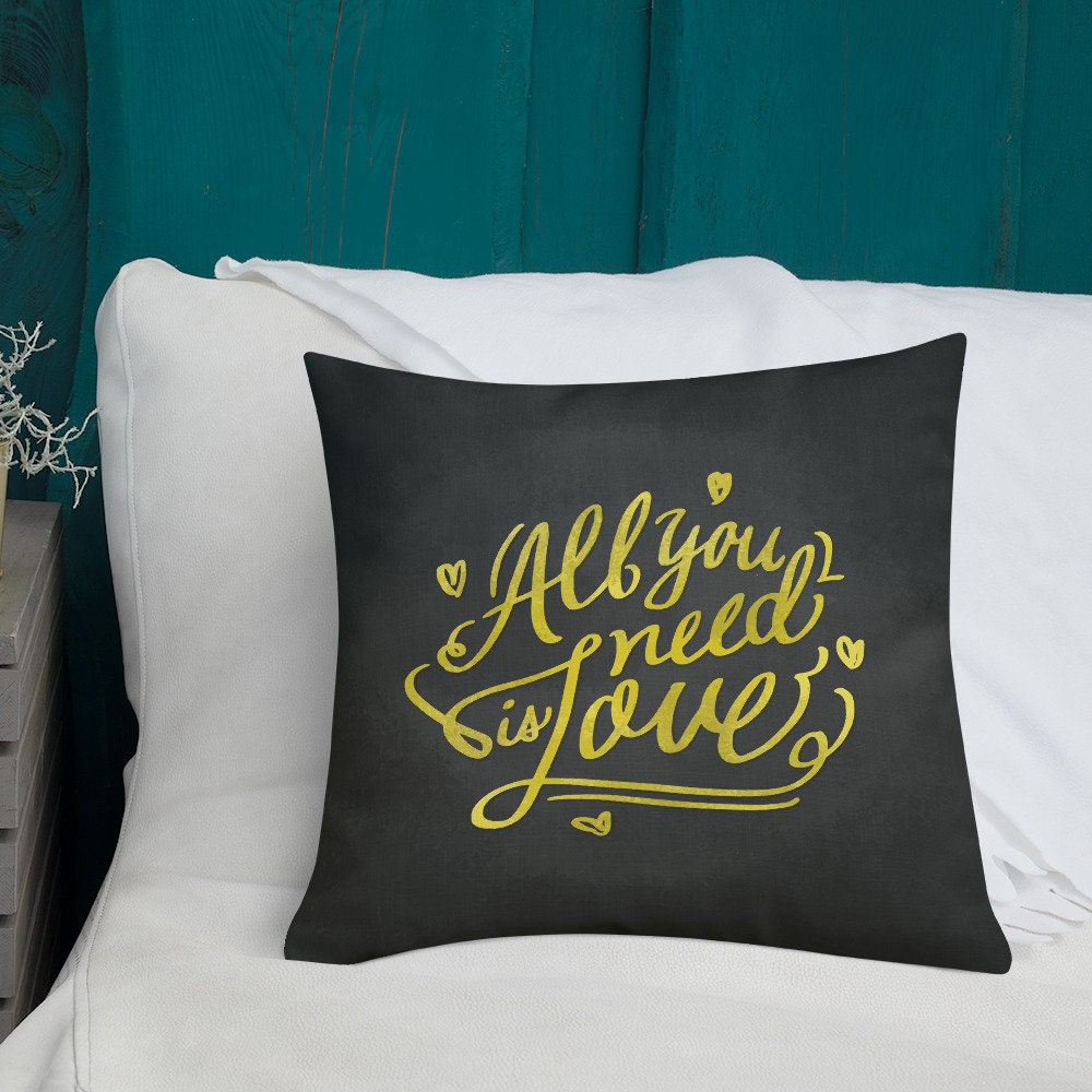 Pillows With Sayings Decorative Pillows Throw Pillow Etsy