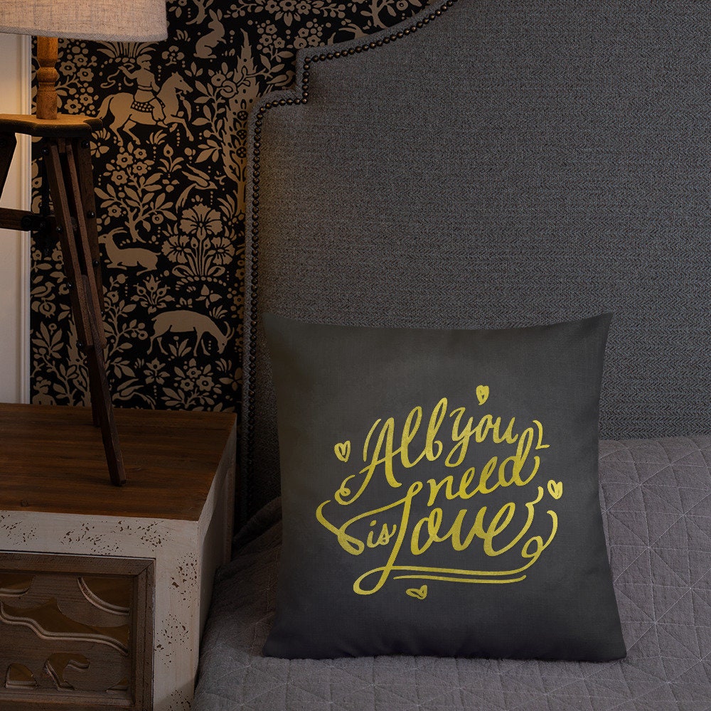 Pillows With Sayings Decorative Pillows Throw Pillow Etsy
