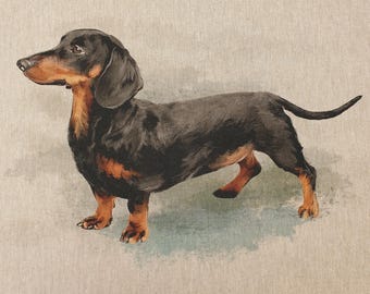 Paneles de cojín de tela con diseño de perro salchicha, 45 cm x 45 cm (80/20 % algodón-poliéster), con tacto tapizado, estampado de perro salchicha amigo del hombre.