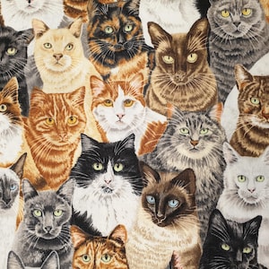 Katzen Stoff UK 100% Baumwolle Meterware Tiere Haustiere Schnurrhaare Pfoten pelzigen Freund Kätzchen Kätzchen niedlich entzückende Taschen Kissen
