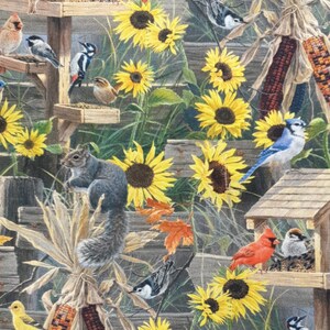 May include: A detailed illustration of a woodland scene with sunflowers, birds, and a squirrel. The image features a variety of birds, including cardinals, woodpeckers, and blue jays, perched on wooden birdhouses and branches. Yellow sunflowers and corn stalks add to the natural setting.