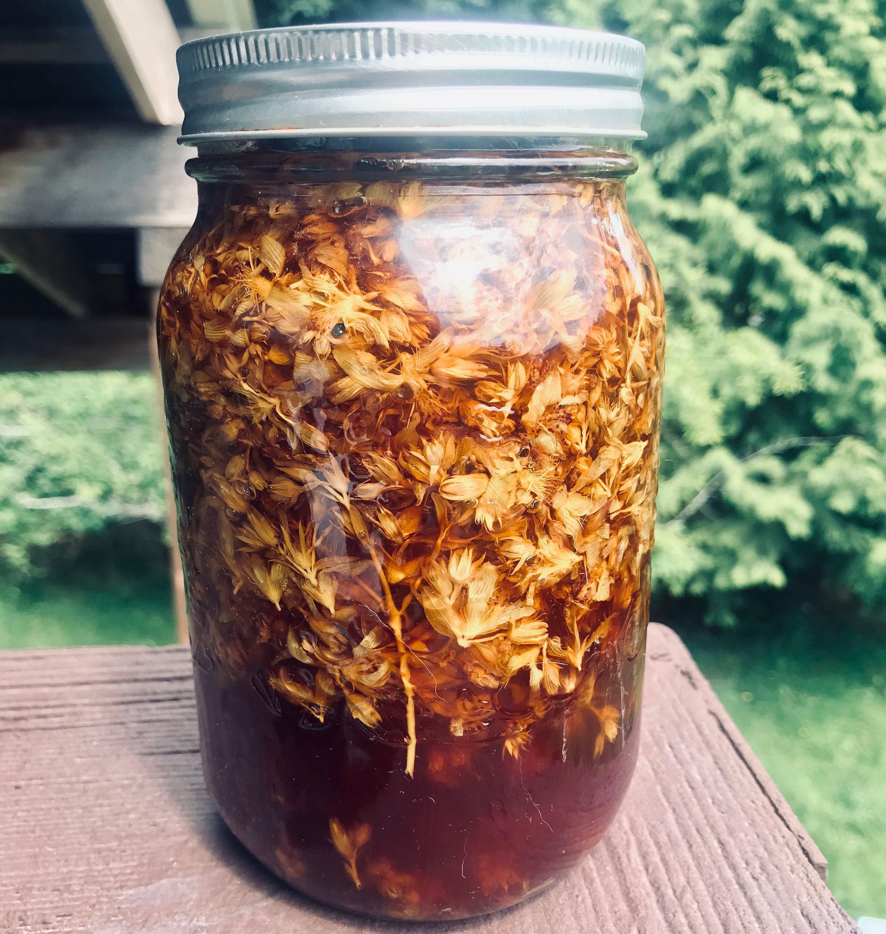 St John's Wort Oil Extra Strong // Pain Relief // Nerve Pain sciatica