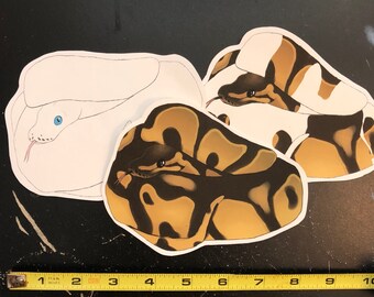 Ball python | Etsy