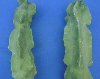 ¡Dos (2) cactus tótem también conocidos como Lophocereus schottii versión regular (gruesa)! Esquejes sin raíz de 9" y 9,5" de alto V6