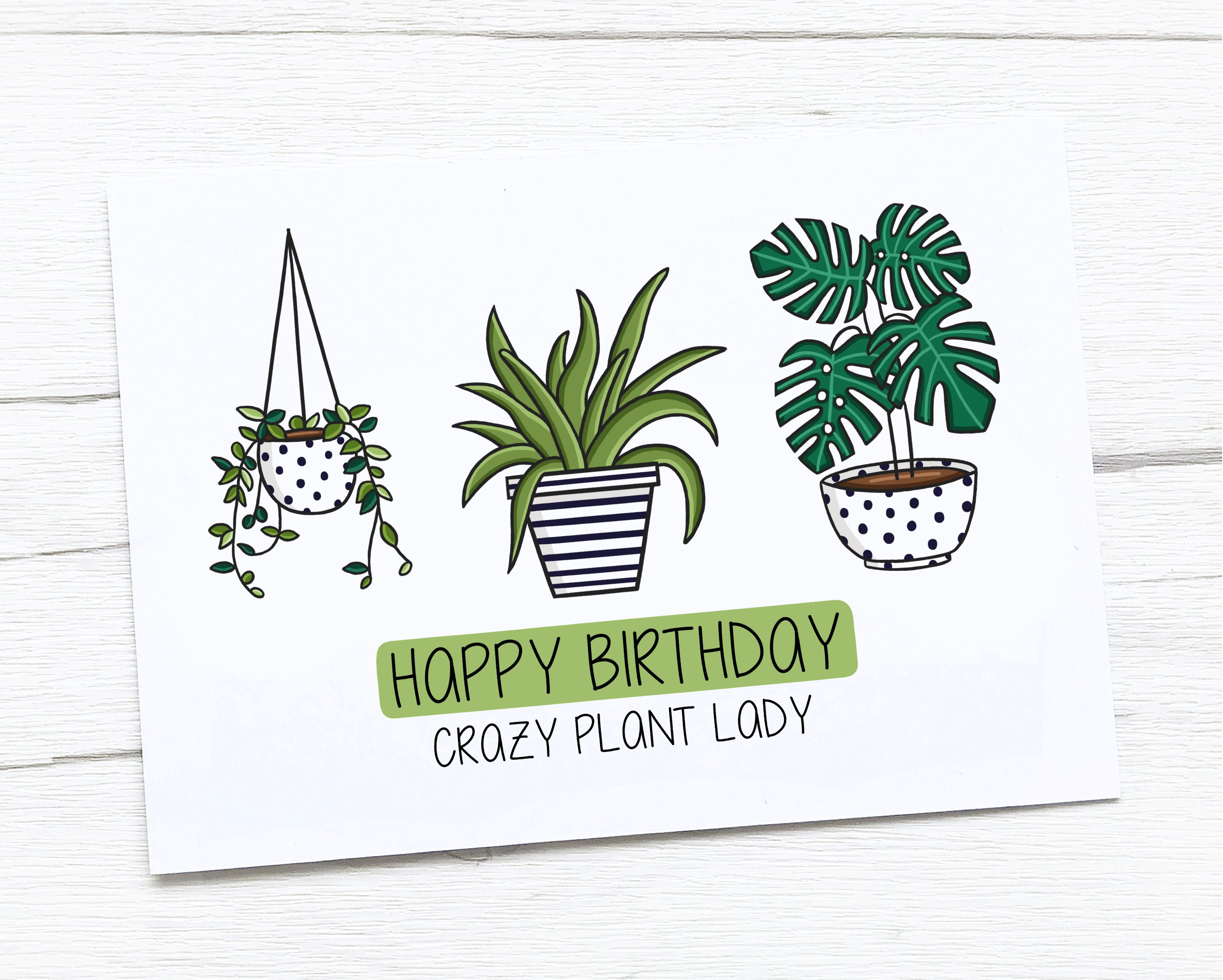 Birthday plants cheap
